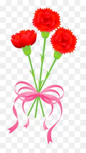 Carnation Flower Clipart. Free Download Transparent .png | ClipartFlare