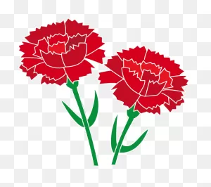Carnation Clipart - ClipartFlare