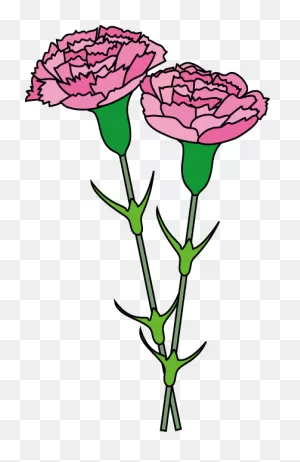 Free Carnation Cliparts, Download Free Carnation Cliparts Png ClipartFlare.com 