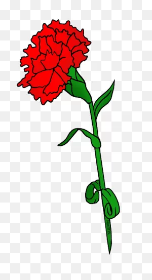 Free Carnation Flower Cliparts, Download Free Carnation Flower ClipartFlare.com 