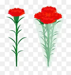 Red Carnation Flowers Clipart. Free Download Transparent .png ClipartFlare.com 