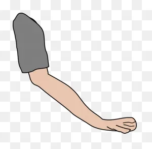 Cartoon Arm Png - ClipartFlare