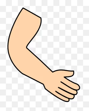Cartoon Arms Clipart - Clipart Suggest
