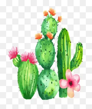 Cactus Plant Cactus Flower Clipart - Cactus Clipart Nature Clip Art