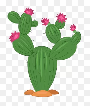 Cactus Clipart. Free Download Transparent .png | ClipartFlare