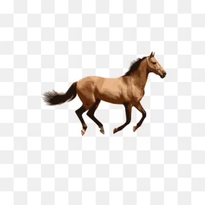 Caballo 2 | Free PNG-WebP