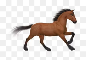 Caballo Png - Silhouette Animals Png Clipart - Large Size Png ClipartFlare.com 