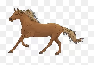 Horse Clipart - Caballo Clipart - Png Download - Full Size Clipart ClipartFlare.com 