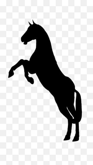 Silueta De Caballo - Para Sublimar