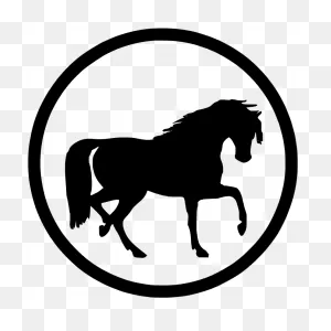 Transparent Caballo Clipart - Horse Silhouette Clip Art - Png ClipartFlare.com 