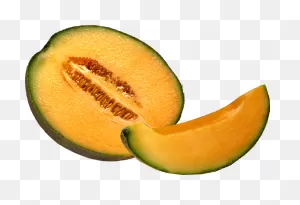 Cantaloupe Melon Png | Png All