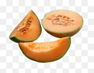 Cantaloupe Slices | ClipartFlare – Free Png Library