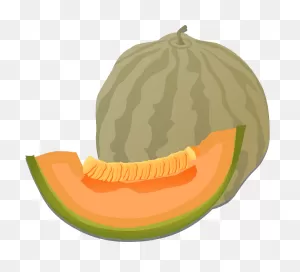 Cantaloupe Clipart. Free Download Transparent .png | ClipartFlare
