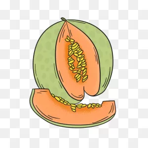Download Photos Cantaloupe Green Hd Image Free Hq Png Image ClipartFlare.com 