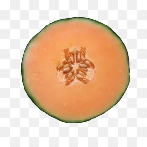 Melon Cantaloupe Orange - Free Image On ClipartFlare