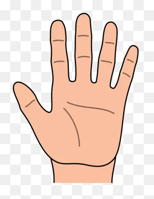 Free Cartoon Hands Cliparts, Download Free Cartoon Hands Cliparts ClipartFlare.com 