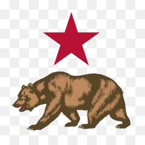 Vector Clip Art Of Bear From The Flag Of California | Public ClipartFlare.com 