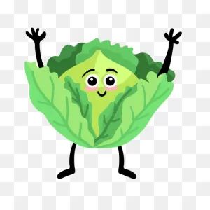 Cabbage Leaf Flat Transparent Png & PNG-WebP Vector
