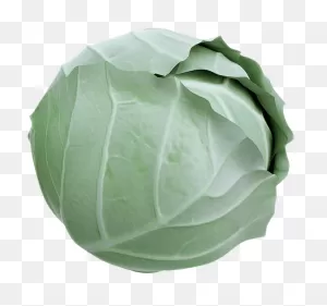 Cabbage - (1000X1000) Png Clipart Download