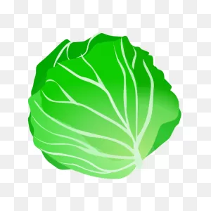 Cabbage Clipart | Clip Art, Free Clip Art, Art Images