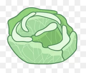 Cabbage Clipart. Free Download Transparent .png | ClipartFlare