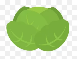 Cabbage Clipart. Free Download Transparent .png | ClipartFlare