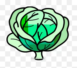 Cabbage Royalty Free Vector Clip Art Illustration -Vc107655 ClipartFlare.com 