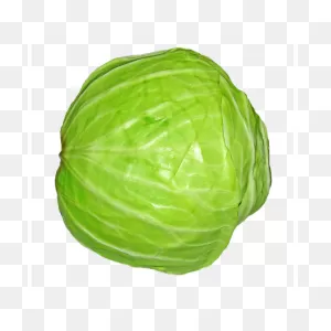 Framed Art For Your Wall Cabbage Col Vegetables Power 10X13 Frame ClipartFlare.com 