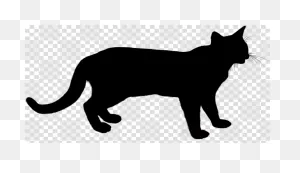 Cat Small To Medium-Sized Cats Black Cat Tail Snout Clipart - Cat ClipartFlare.com 