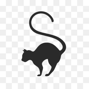Cat Silhouette Drawing Photography - Cat Png Download - 600*600 ClipartFlare.com 