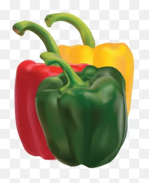 Capsicum Food Pepper - Free Vector Graphic On ClipartFlare