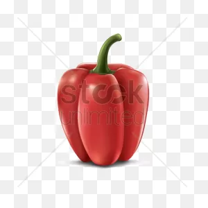 Red Capsicum Vector Image - 1808677 | Stockunlimited