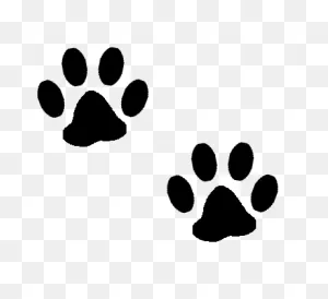 Best Photos Of Paw Print Cat Graphic - Cat Paw Print Clip Art Free ClipartFlare.com 