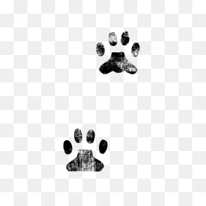 Free Cat Paw Print, Download Free Cat Paw Print Png Images, Free ClipartFlare.com 