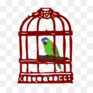 Parrot In A Bird Cage Png, PNG-WebP Clip Art For Web - Download Clip ClipartFlare.com 