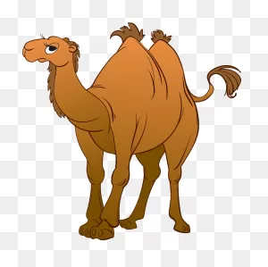 Bactrian Camel Clipart. Free Download Transparent .png | ClipartFlare