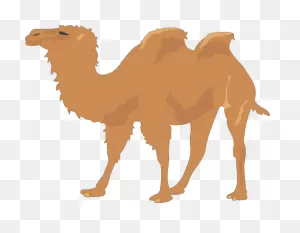 Camel Clip Art At ClipartFlare ClipartFlare.com - Vector Clip Art Online, Royalty Free ClipartFlare.com 