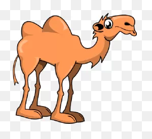 Cute Camel Clipart Funny Pictures - Cute Cartoon Camel - Png ClipartFlare.com 