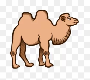 Cartoon Vector Image Of A Camel | Public Domain Vectors