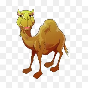 Camel-Png-Clipart (15) - Free Download