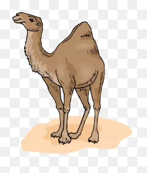 Free Camel Cliparts, Download Free Camel Cliparts Png Images, Free ClipartFlare.com 