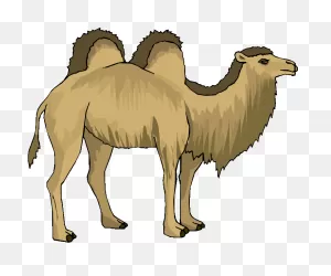 Free Camel Clipart 5 - ClipartFlare ClipartFlare.com