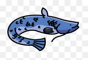 Catfish Clipart. Free Download Transparent .png | ClipartFlare