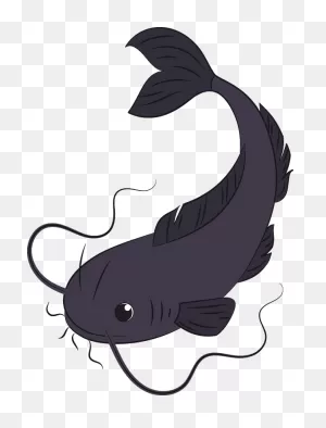 Catfish Clipart. Free Download Transparent .png | ClipartFlare
