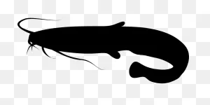 Catfish Tips And Methods | Aquaponics, Ikan, Kartun