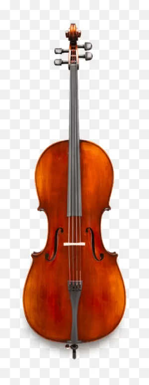 Eastman 305 Cello