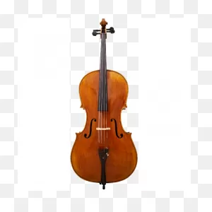 Lady Claire Maple Leaf Strings Advanced Cello With Bag