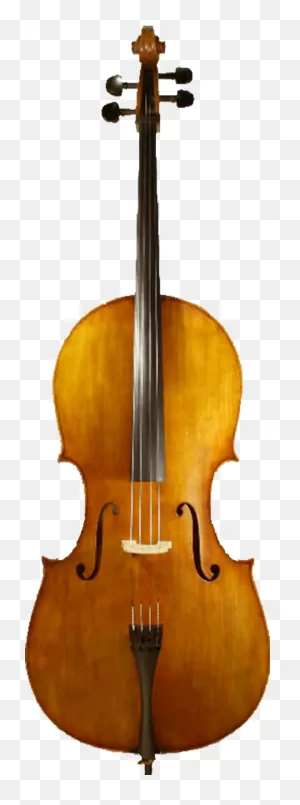 Nicolas Parola P40C Cello