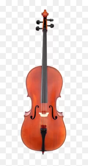 Scherl & Roth Sr75E Advanced Cello Outfit | Star Music Company