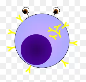 Clipart Of Cells, Plasma And Cell - Circle - Png Download - Full ClipartFlare.com 